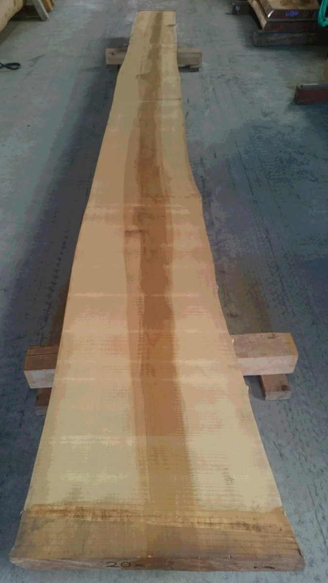 いちょう 銀杏 1700mm 370mm 115mm テーブル カウンター 一枚板 天然木 無垢材 天板 原板 送料無料 - 3